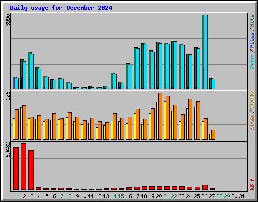 Daily usage for December 2024