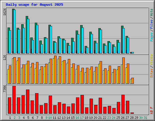 Daily usage for August 2025