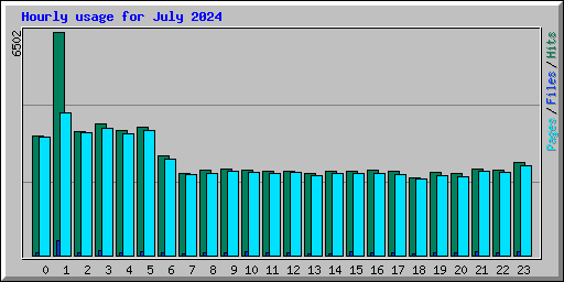 Hourly usage for July 2024