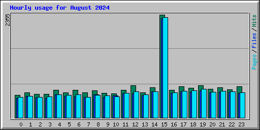 Hourly usage for August 2024