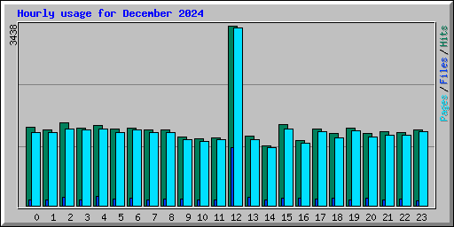 Hourly usage for December 2024