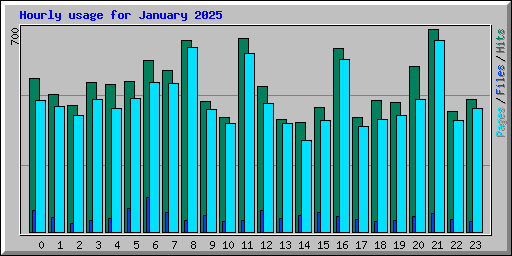 Hourly usage for January 2025