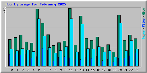 Hourly usage for February 2025