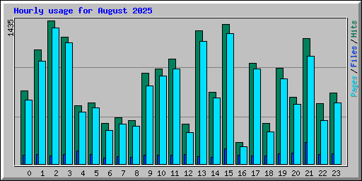 Hourly usage for August 2025