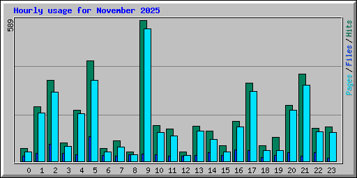 Hourly usage for November 2025