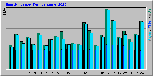 Hourly usage for January 2026