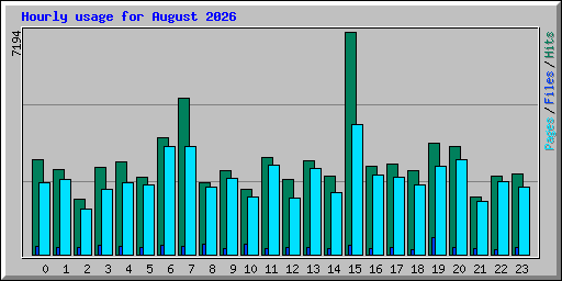 Hourly usage for August 2026