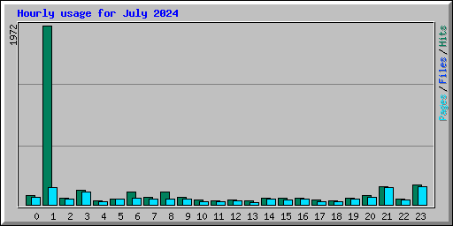 Hourly usage for July 2024