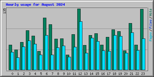 Hourly usage for August 2024