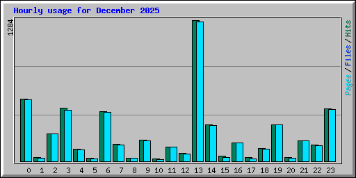 Hourly usage for December 2025