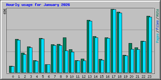 Hourly usage for January 2026